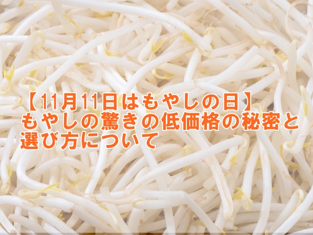 【11月11日はもやしの日】もやしの驚きの低価格の秘密、主要生産地域と選び方について