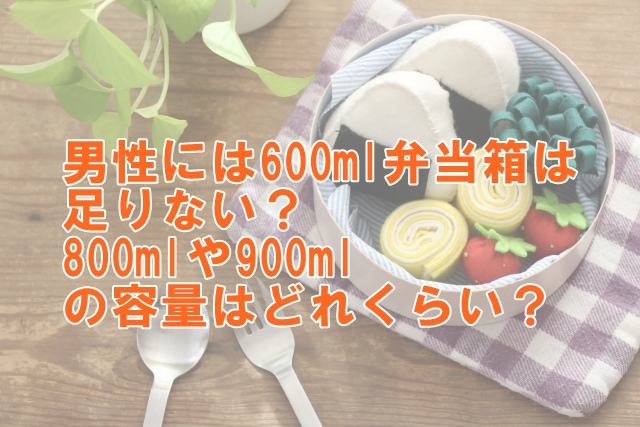 成人男性には600mlの弁当箱では足りない？800mlや900mlといった選択肢とその平均的な容量について