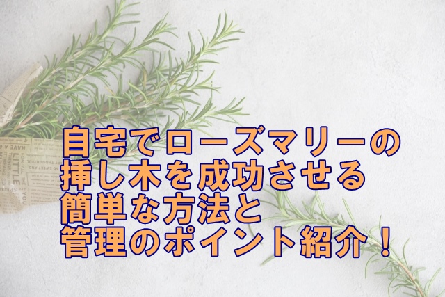 自宅でローズマリーの挿し木を成功させる簡単な方法と管理のポイント紹介！